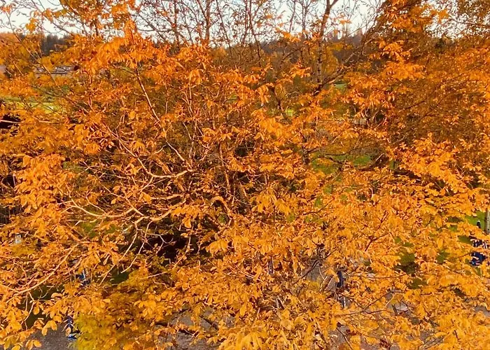 Zum Bayrischen Wirt 宾馆 梅尔霍芬